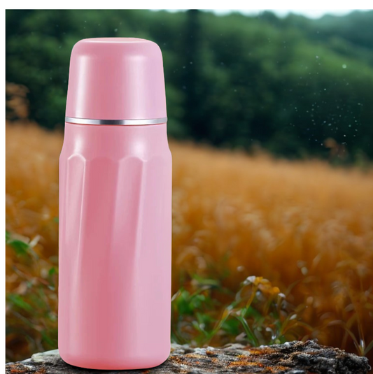 Bidet de toilette portable